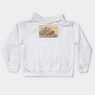 Three Wild African Lion Cubs Kids Hoodie